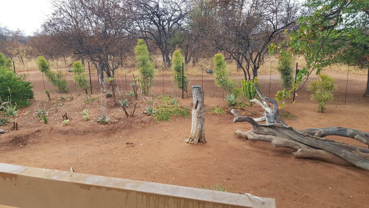 Hornbills Rest Country Home Phalaborwa Zewnętrze zdjęcie