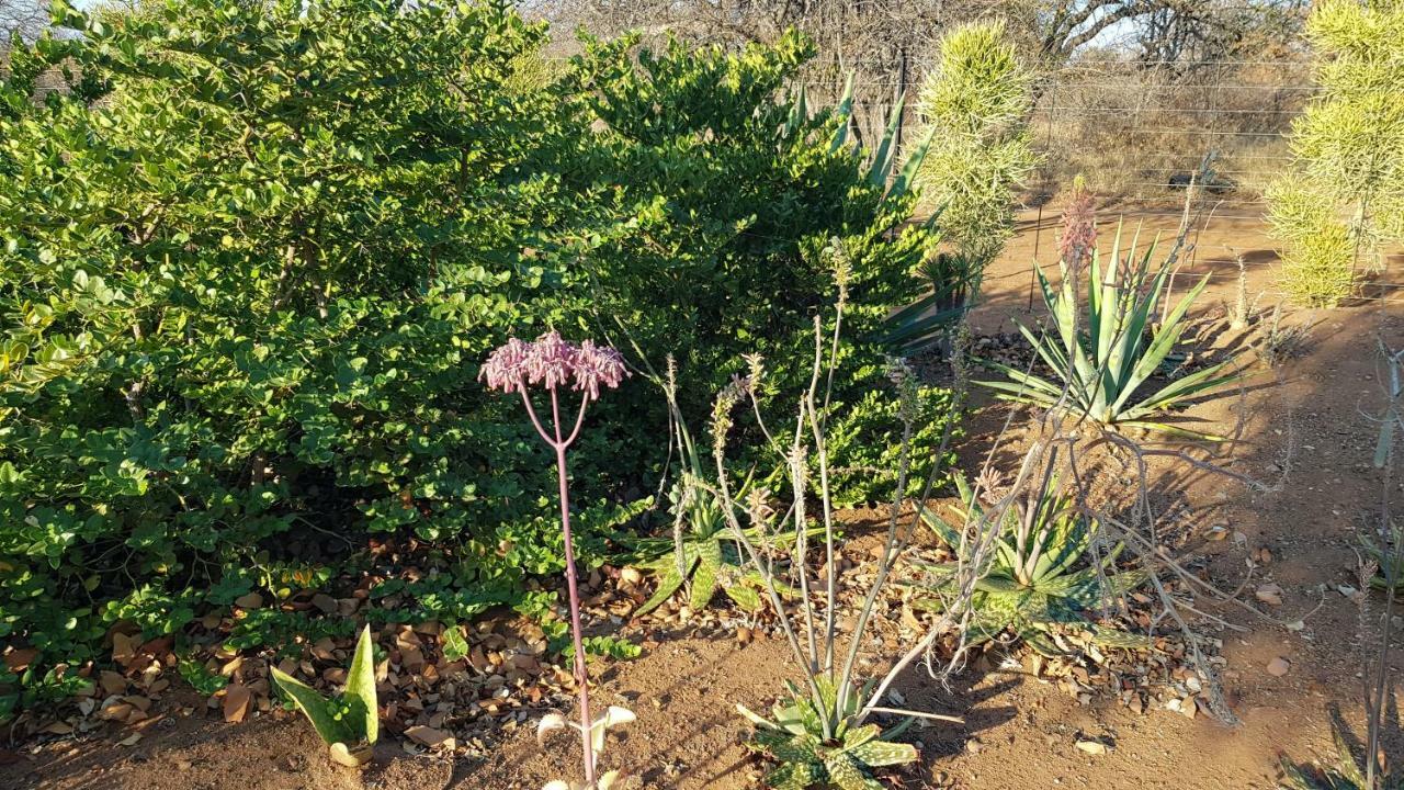 Hornbills Rest Country Home Phalaborwa Zewnętrze zdjęcie